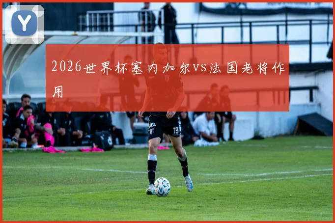 2026世界杯塞内加尔vs法国老将作用