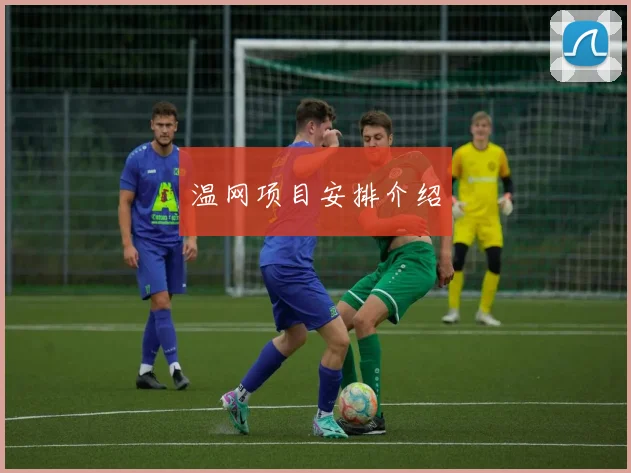 温网项目安排介绍