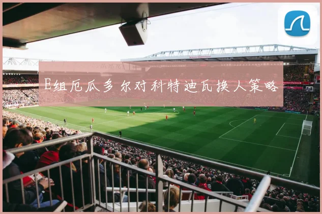 E组厄瓜多尔对科特迪瓦换人策略